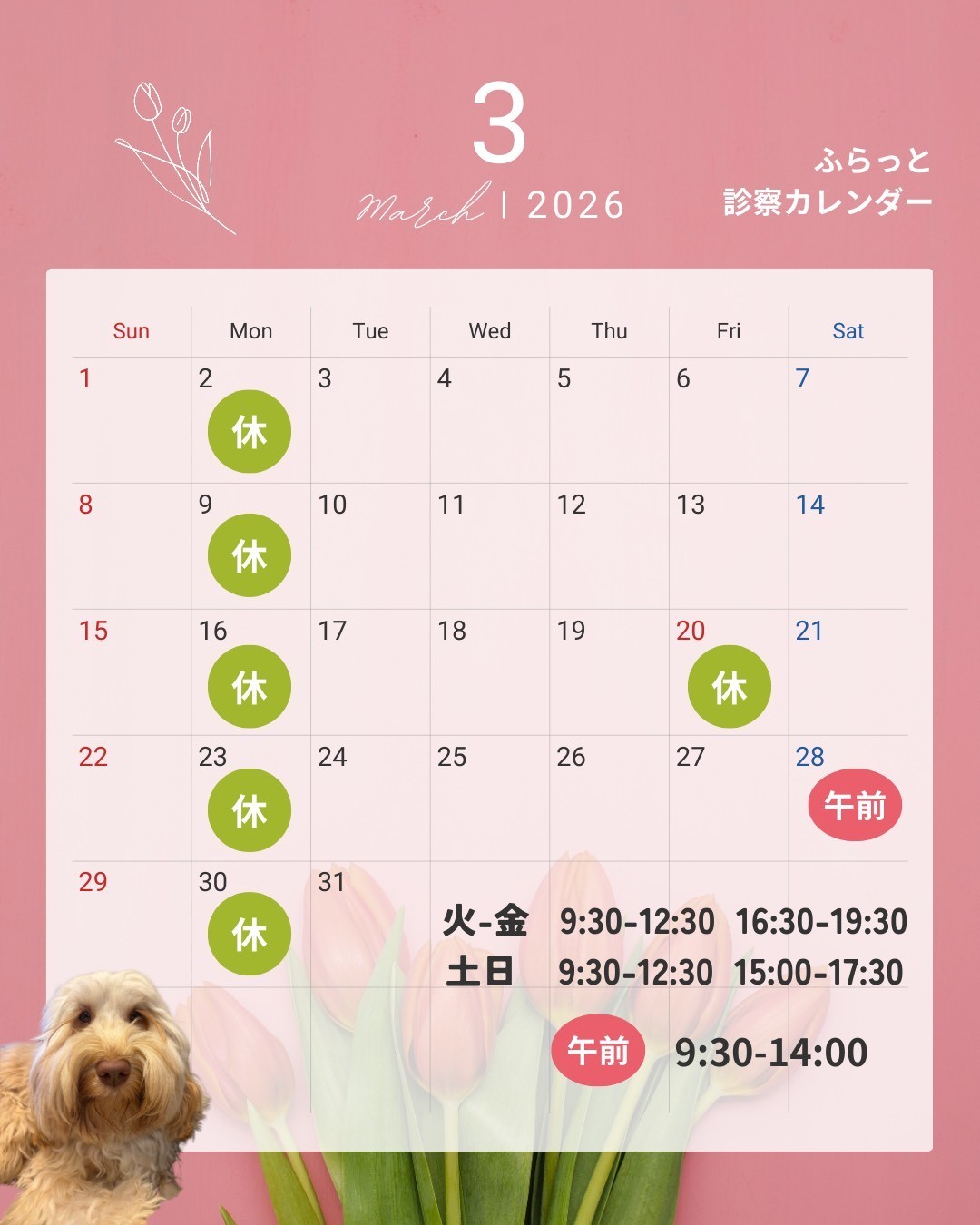 3月の診療時間のお知らせ