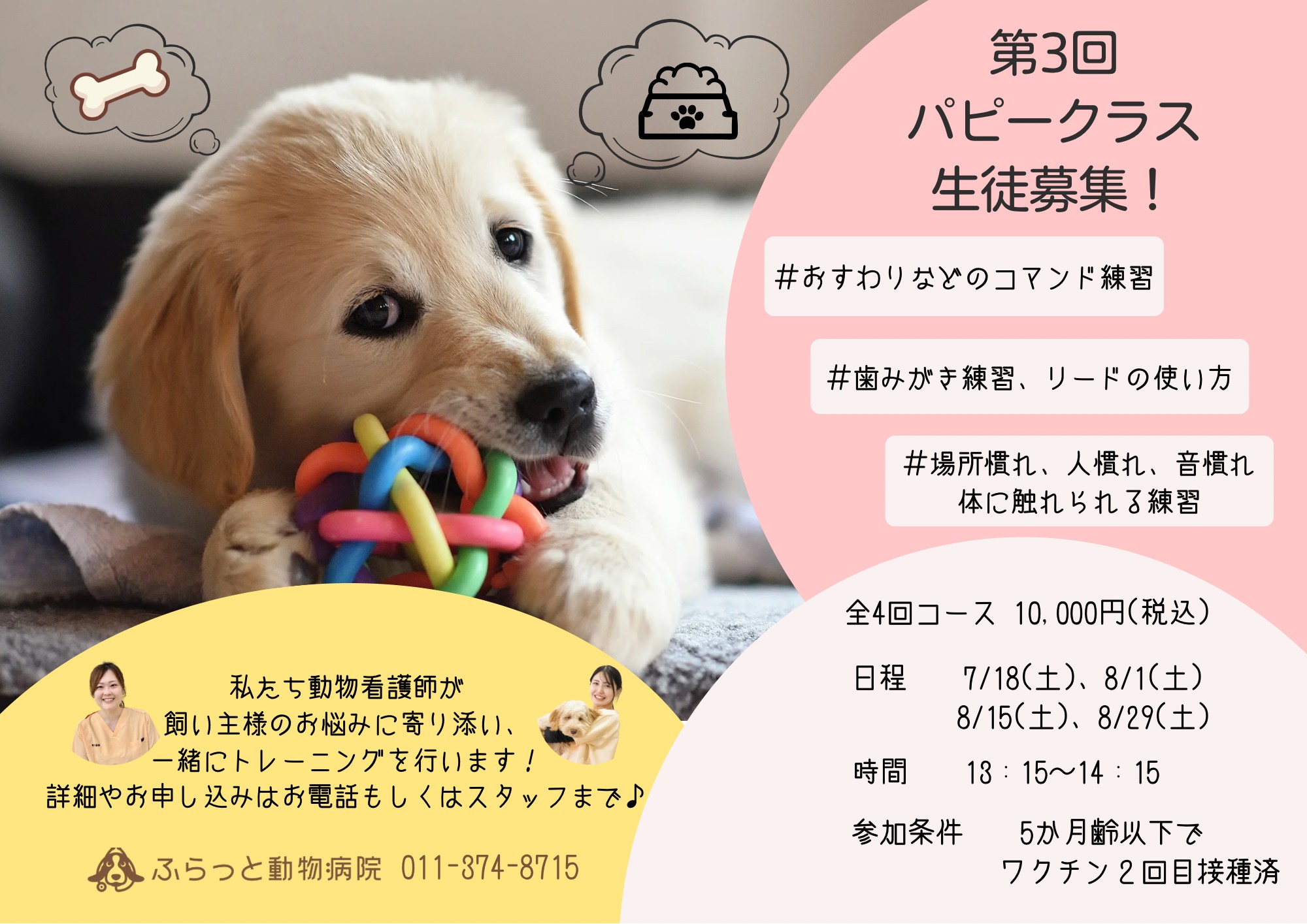 第3回パピークラスのご案内